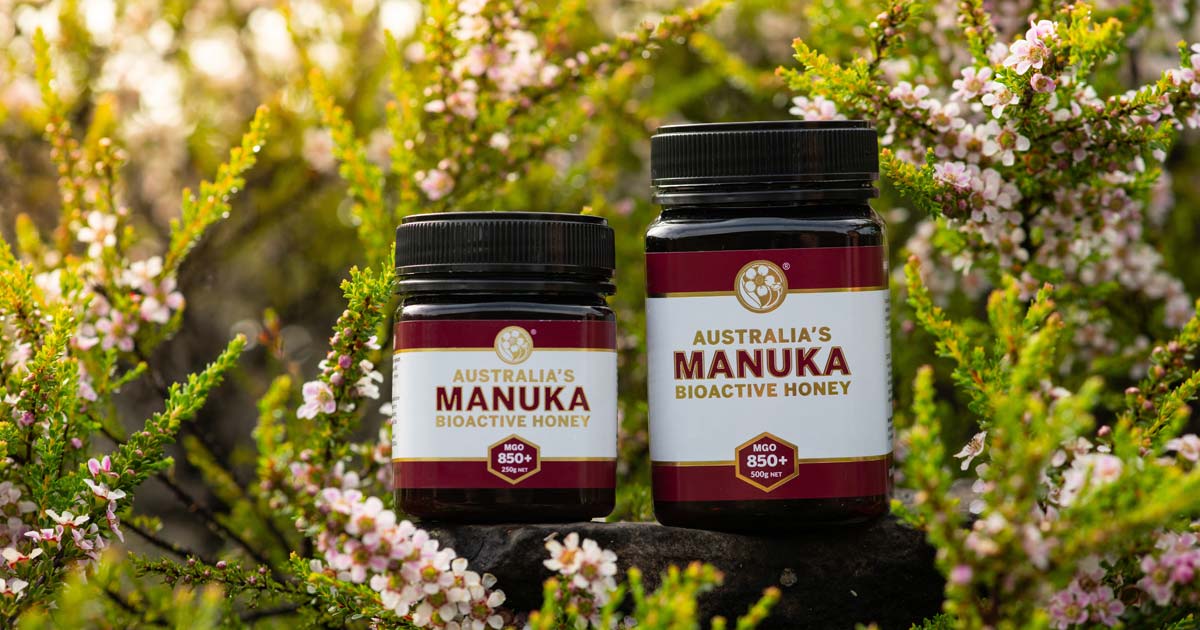 medical-grade-honey-benefits-australia-s-manuka-honey