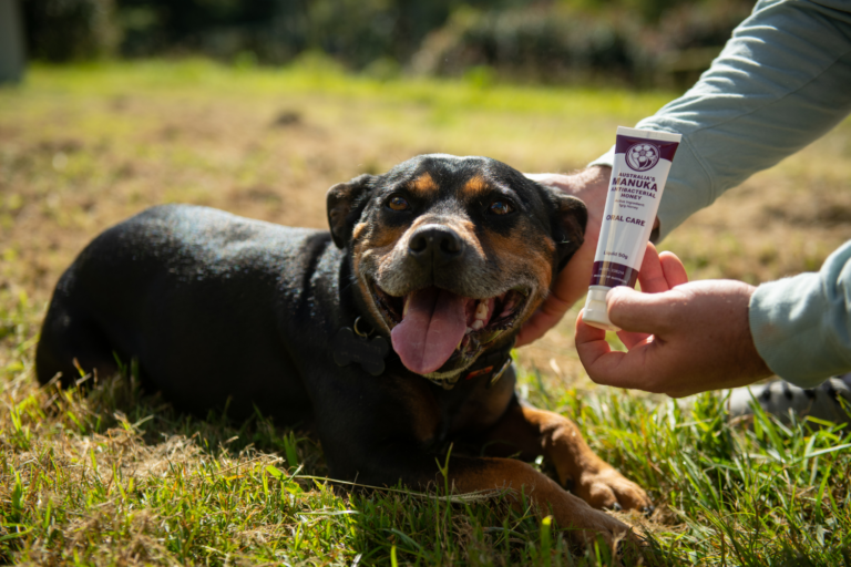 Manuka Honey for Dogs | Australia's Manuka Honey