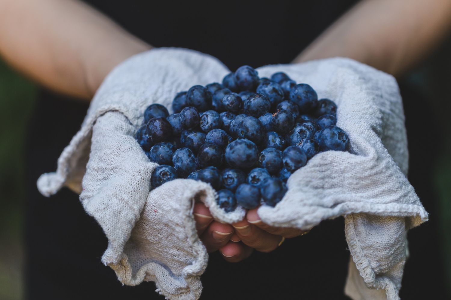 Blueberries