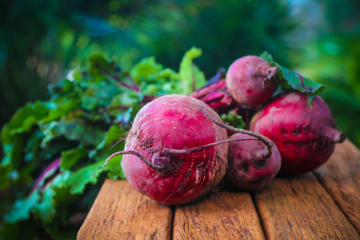 organic beetroot