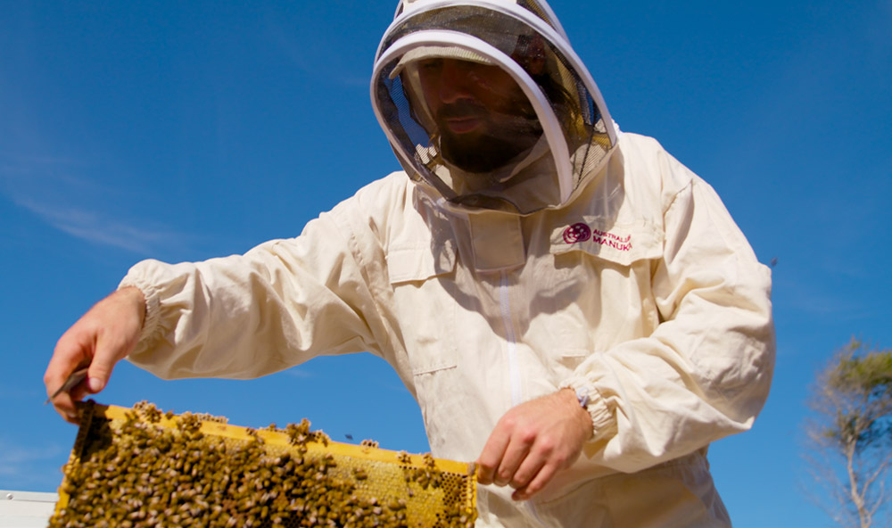 Manuka Honey Beekeeper