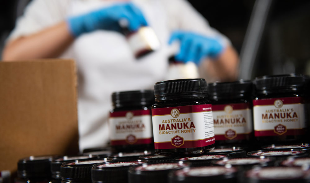 Manuka Honey MGO factory byron bay